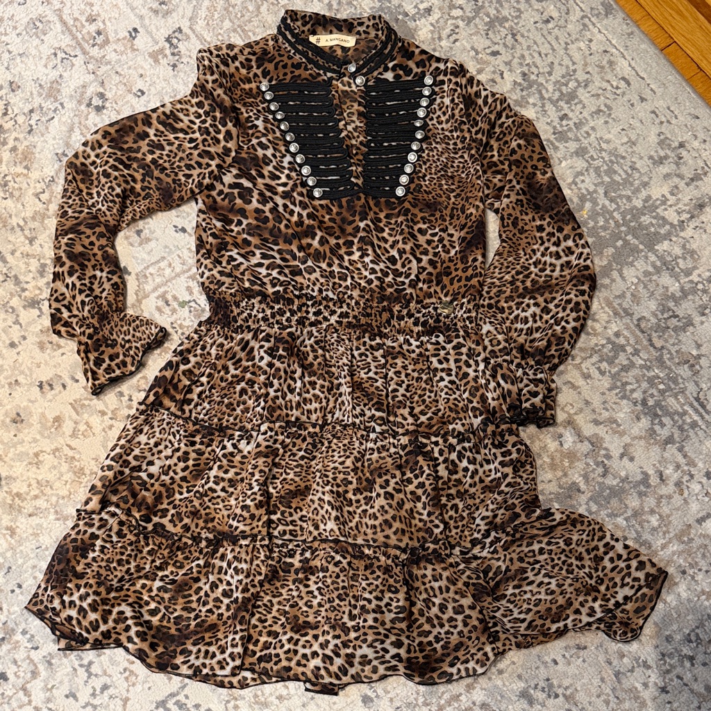 Leopard Print Mini Dress With Button Detail